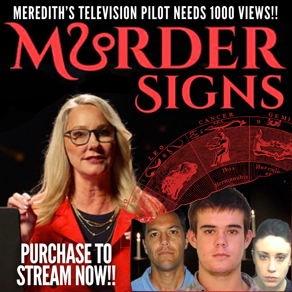 Meredith's Television Pilot: MURDER SIGNS!!!